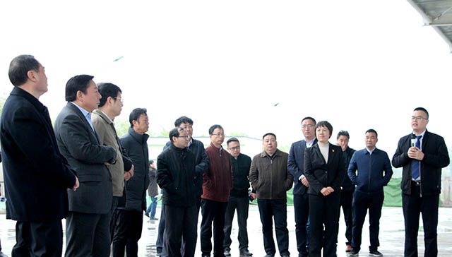 鶴壁市委常委、常務(wù)副市長等領(lǐng)導(dǎo)來岐伯基地視察并指導(dǎo)工作