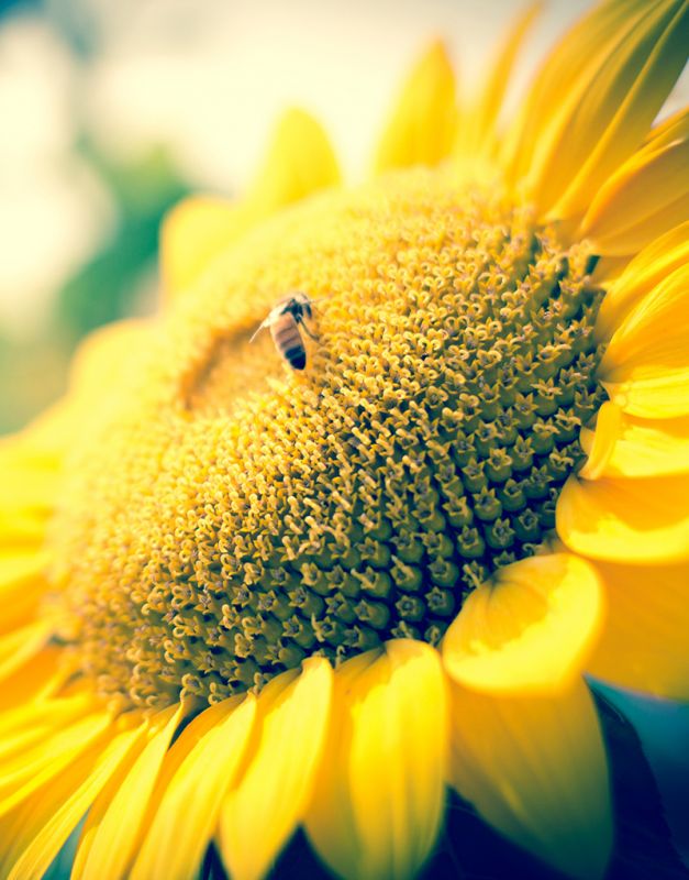 蛋價“開掛”漲勢點燃，7月上漲13%，8月雞蛋價格重 心再次上提