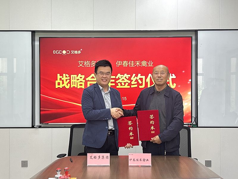 強(qiáng)強(qiáng)聯(lián)合，共筑蛋雞產(chǎn)業(yè)新篇章：艾格多集團(tuán)與佳禾禽業(yè)簽署戰(zhàn)略合作協(xié)議