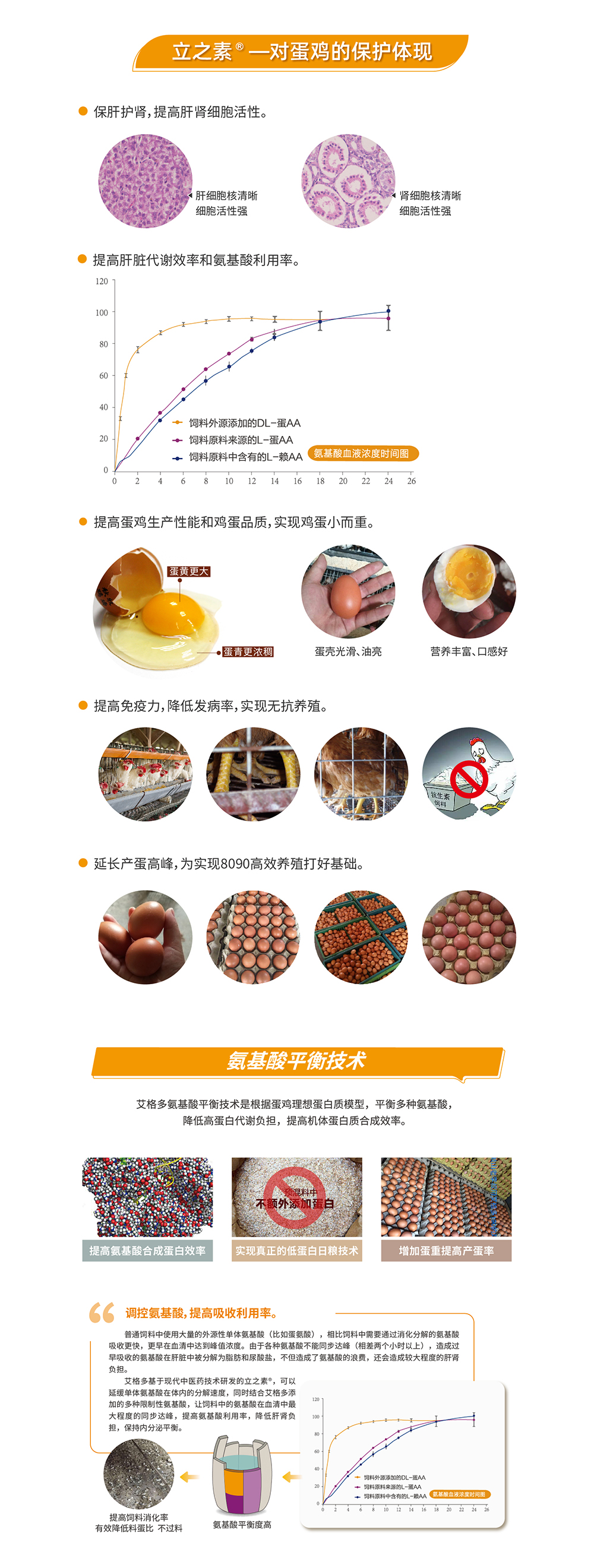 20220603 M530_產(chǎn)品詳情頁(yè)_畫(huà)板 3