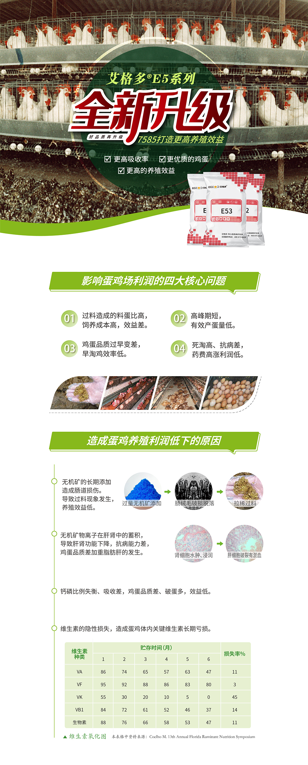 1E5詳情頁(yè)畫板 1@3x-100