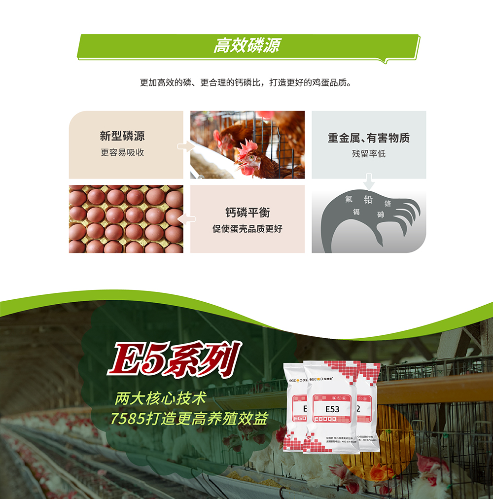 3E5詳情頁(yè)畫板 3@3x-100